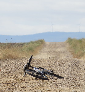 bici6